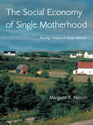 cover image of The Social Economy of Single Motherhood